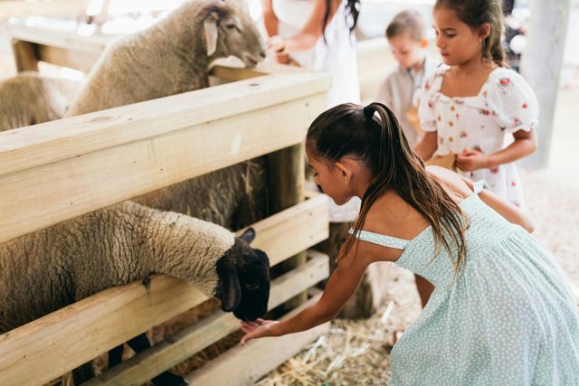 Tropical Fruit World