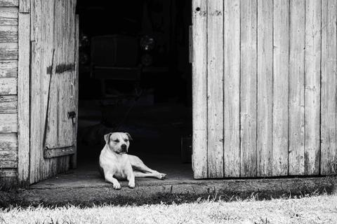 Beginner Photography Workshop