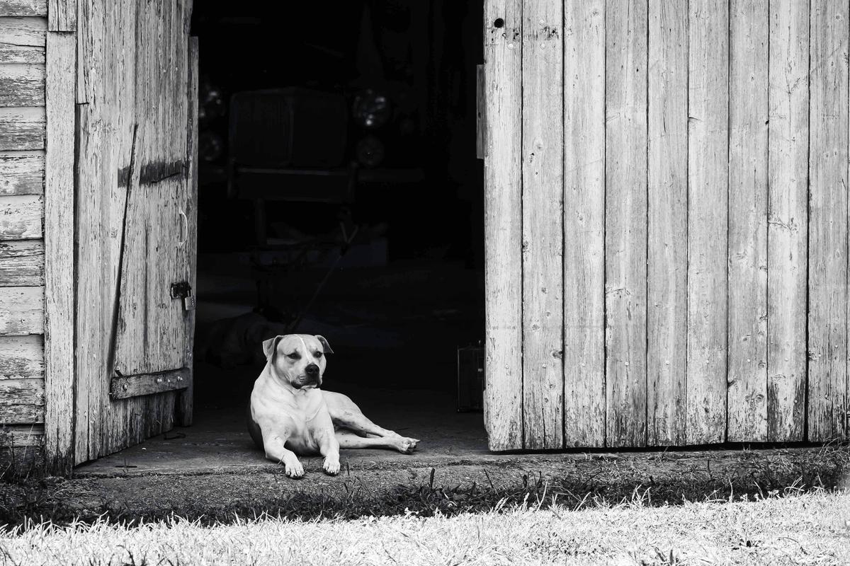 Carolyn Hide will lead a photography workshop as part of Spring into Art at Newbridge 2026