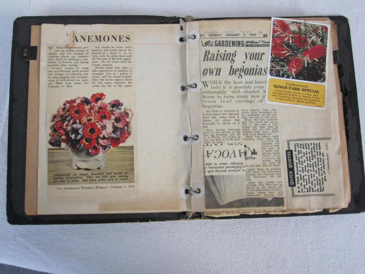 Pages from the scrapbook