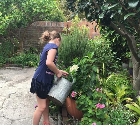 Spring at Miss Porters House