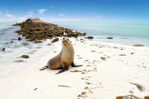 Geraldton Port