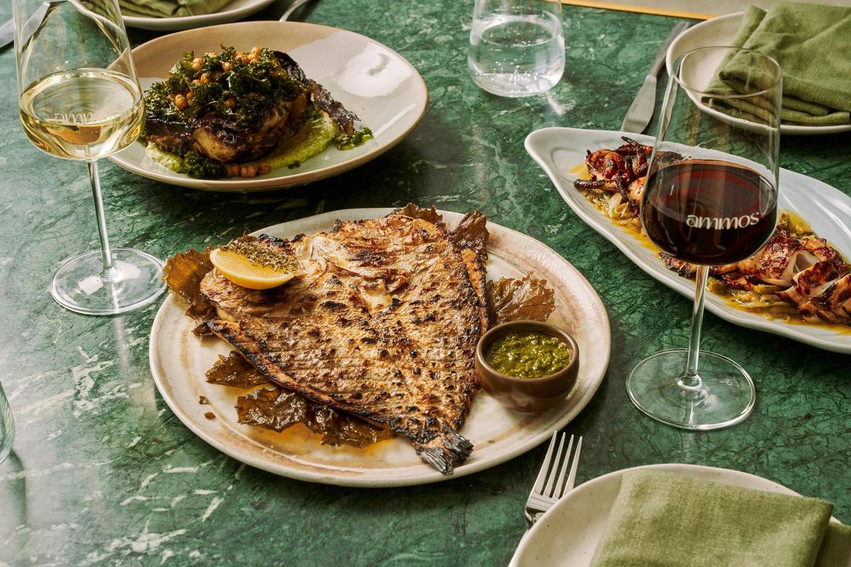 Ammos grilled seafood and wine