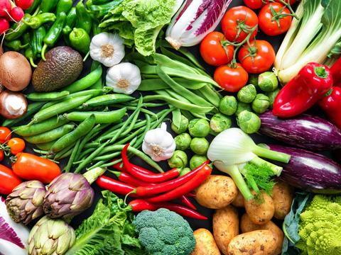 Plate to Planet: Blue Mountains Food Security Fair