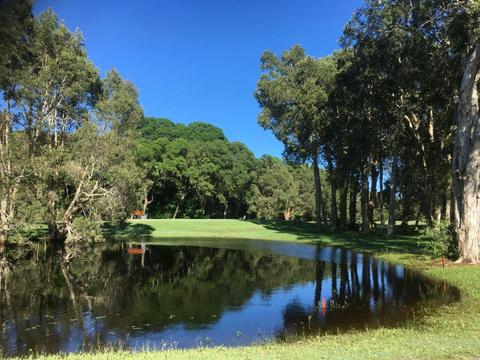 Yamba Ladies Mitre 10 Three Day Tournament