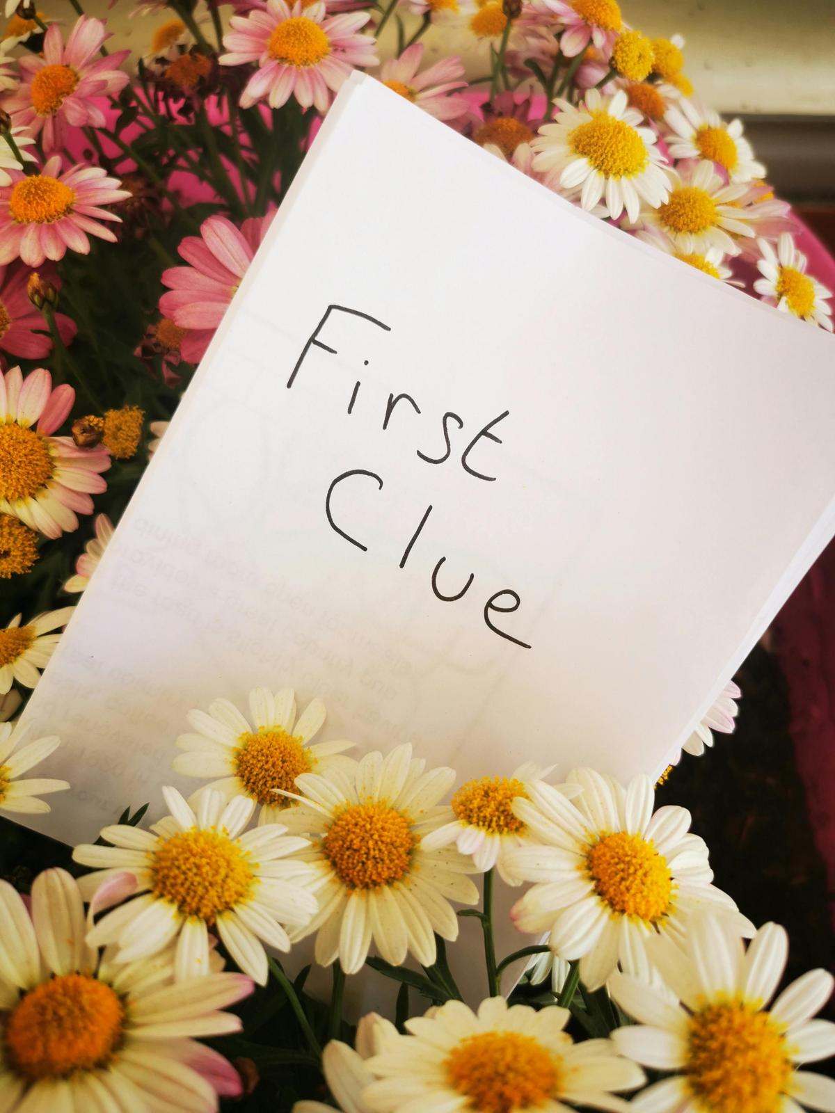 solve clues to find your food