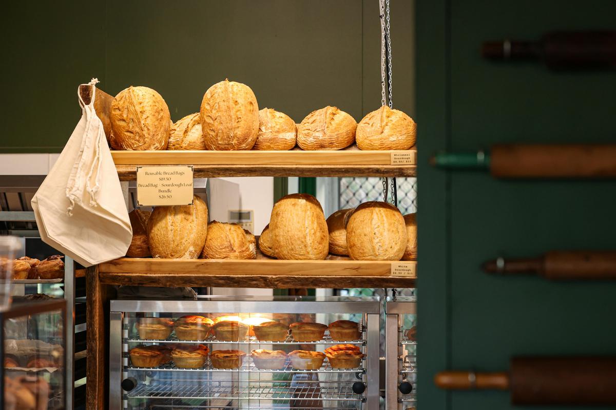 Sourdough Loaves