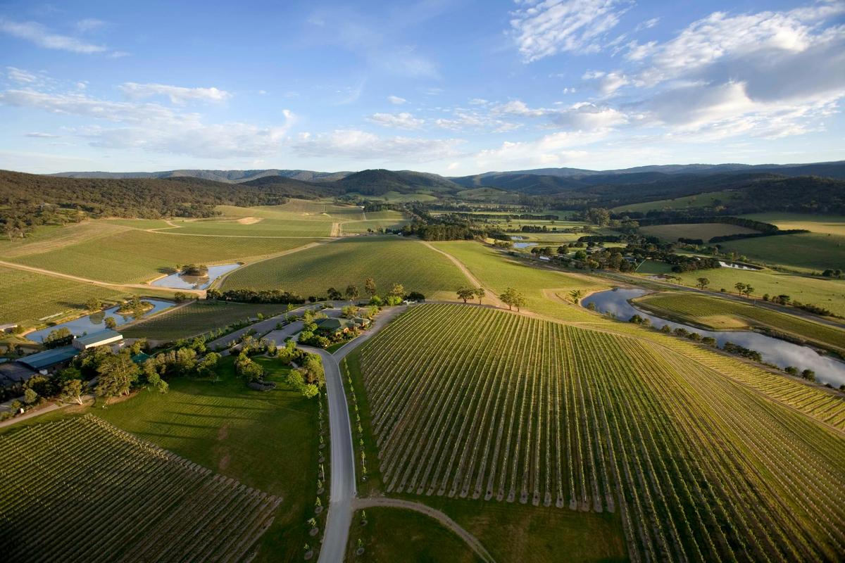 Aerial view of De Bortoli vineyard