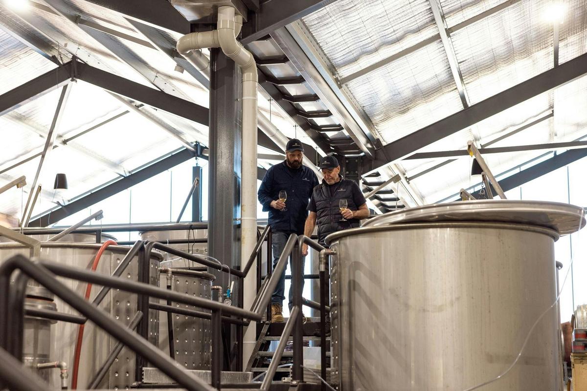Chief Winemaker Andy Williams brings award-winning experience, and a passion for Queensland wine.