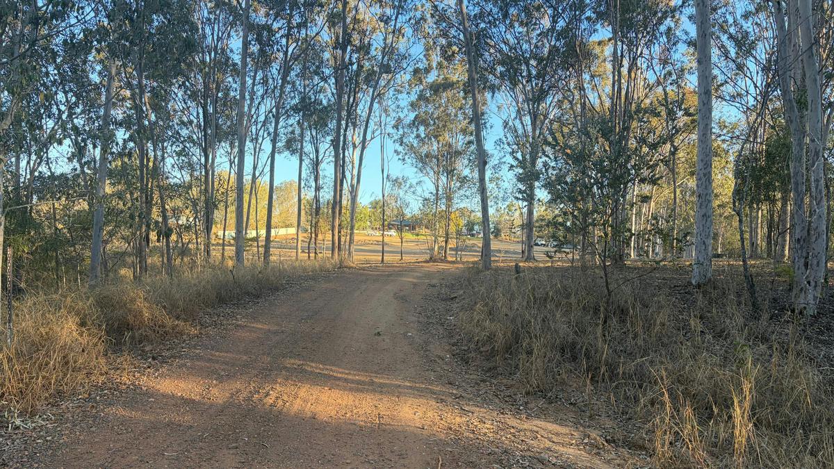 Moonshine Lane