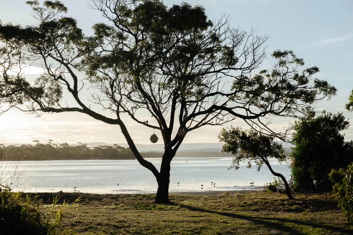 Overlooking the Swan Bay