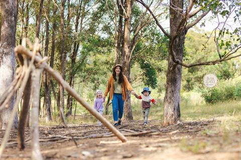 Bush School at Lizard Log