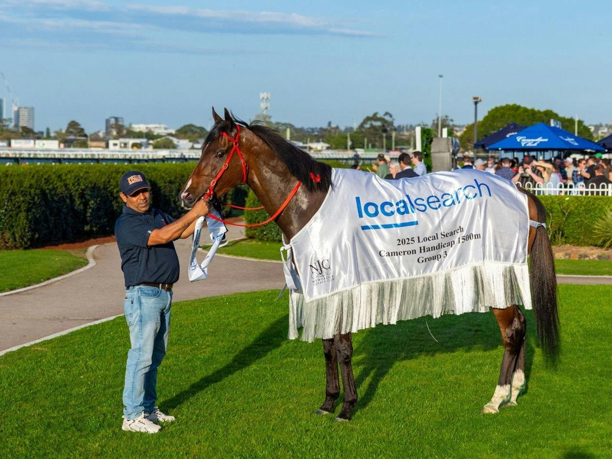 Cameron Handicap