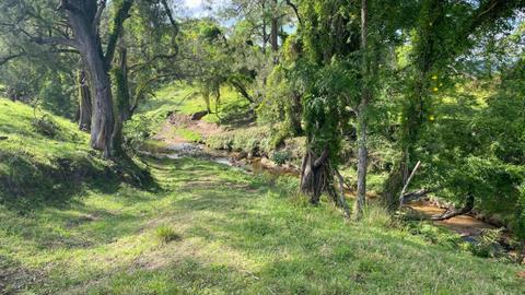 Rocky River Ranch