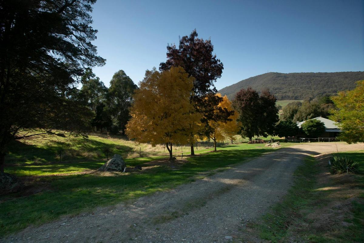Approach to our Property