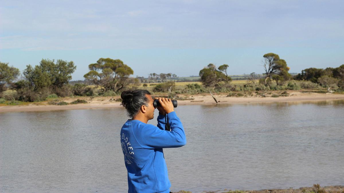 Baandee Salt and Seed Nature Camp