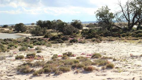 Baandee Salt and Seed Nature Camp