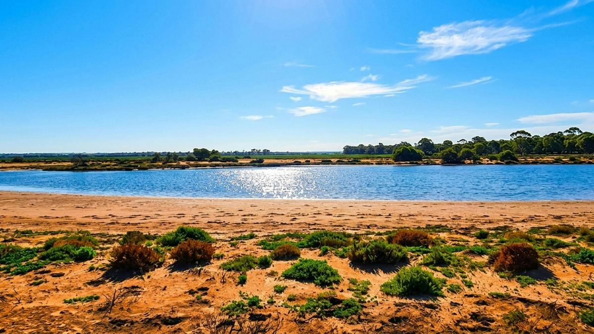 Baandee Salt and Seed Nature Camp