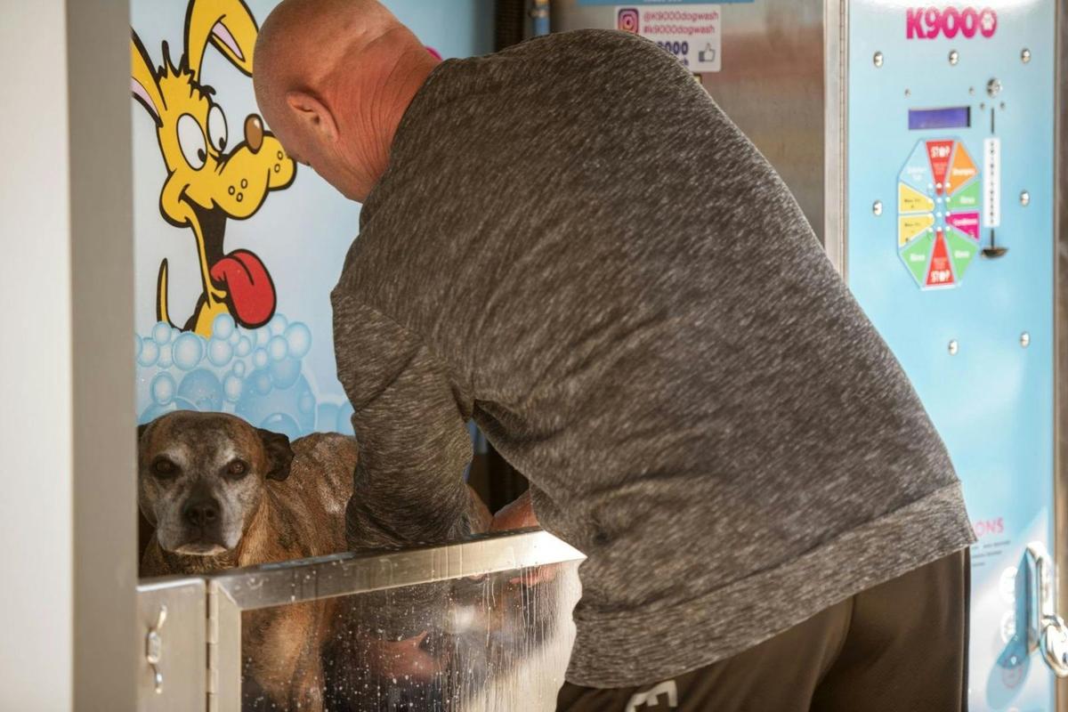 Wash your pets in the comfort of the new K9000 Dog Wash.