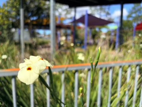 Bowraville Children's Playground