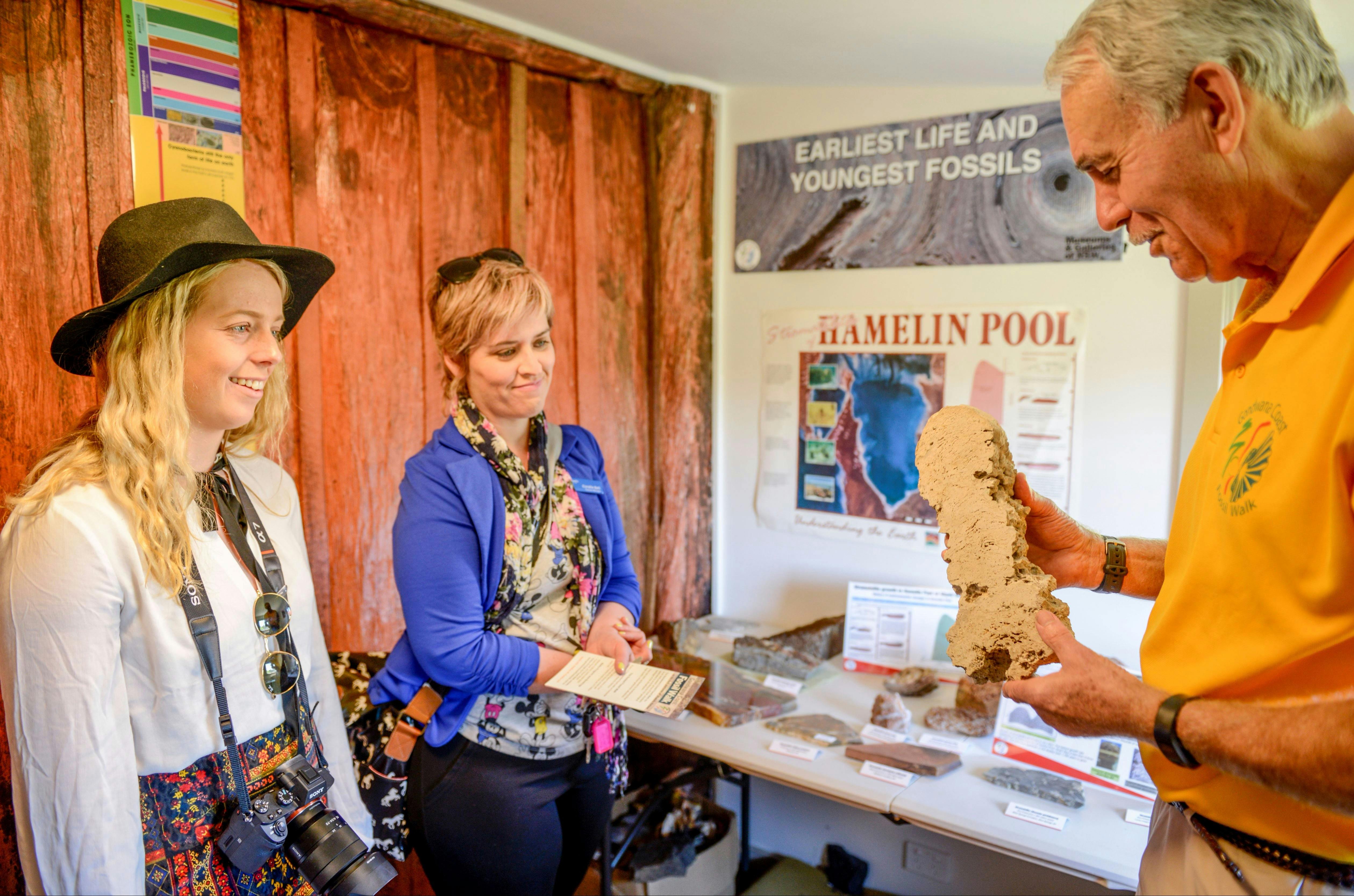 Ulladulla Fossil House