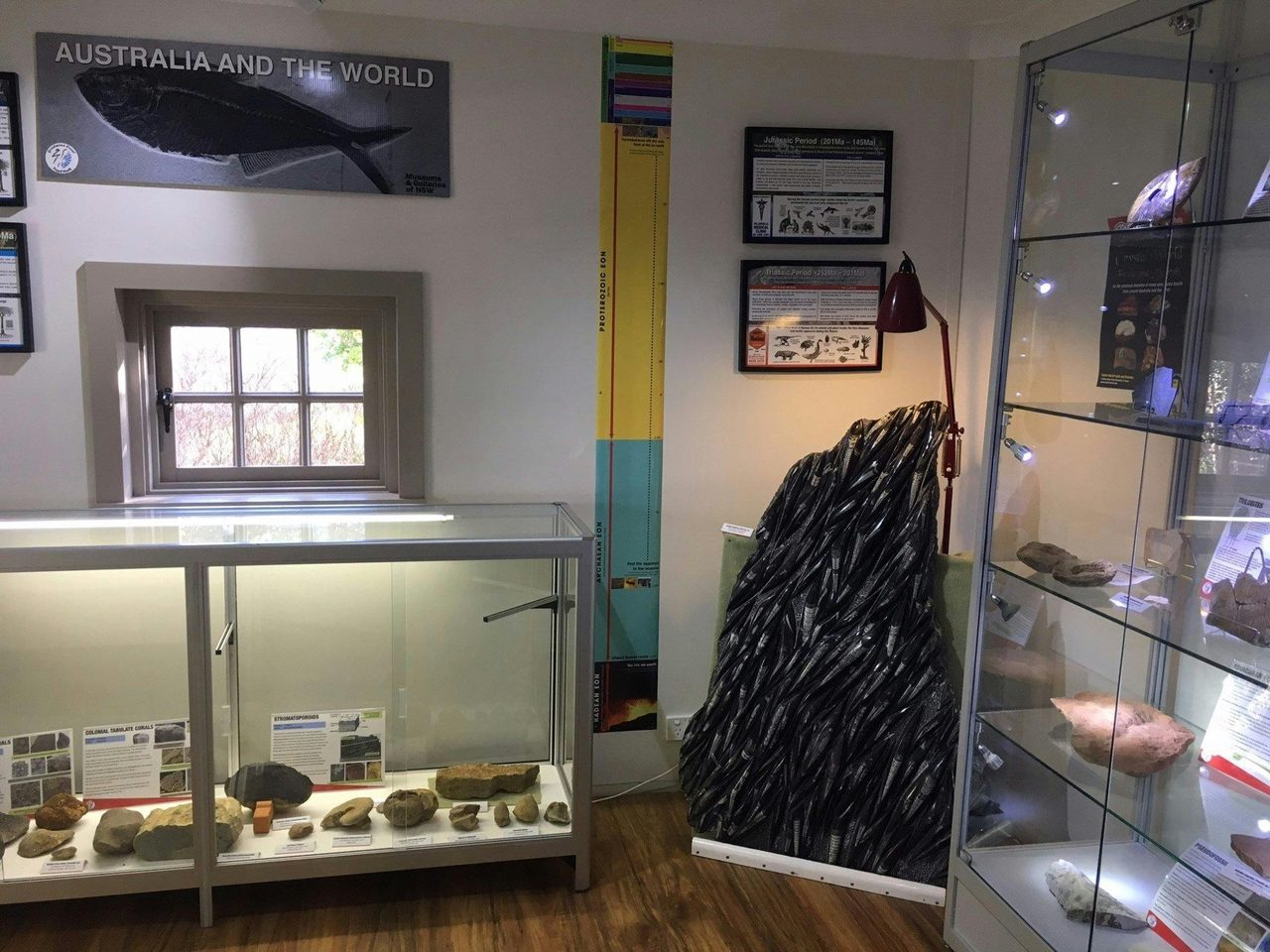 Ulladulla Fossil House Display