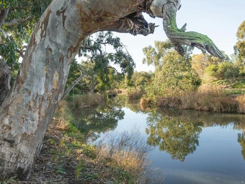 Kororoit Creek Reserve