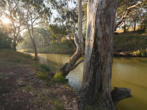 Lozzbert Reserve