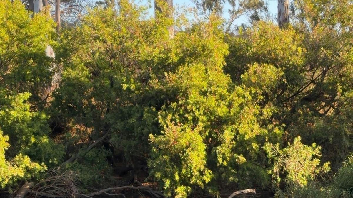 The Riverstone | Campground