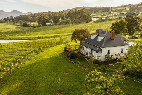 Kate Hill Wines