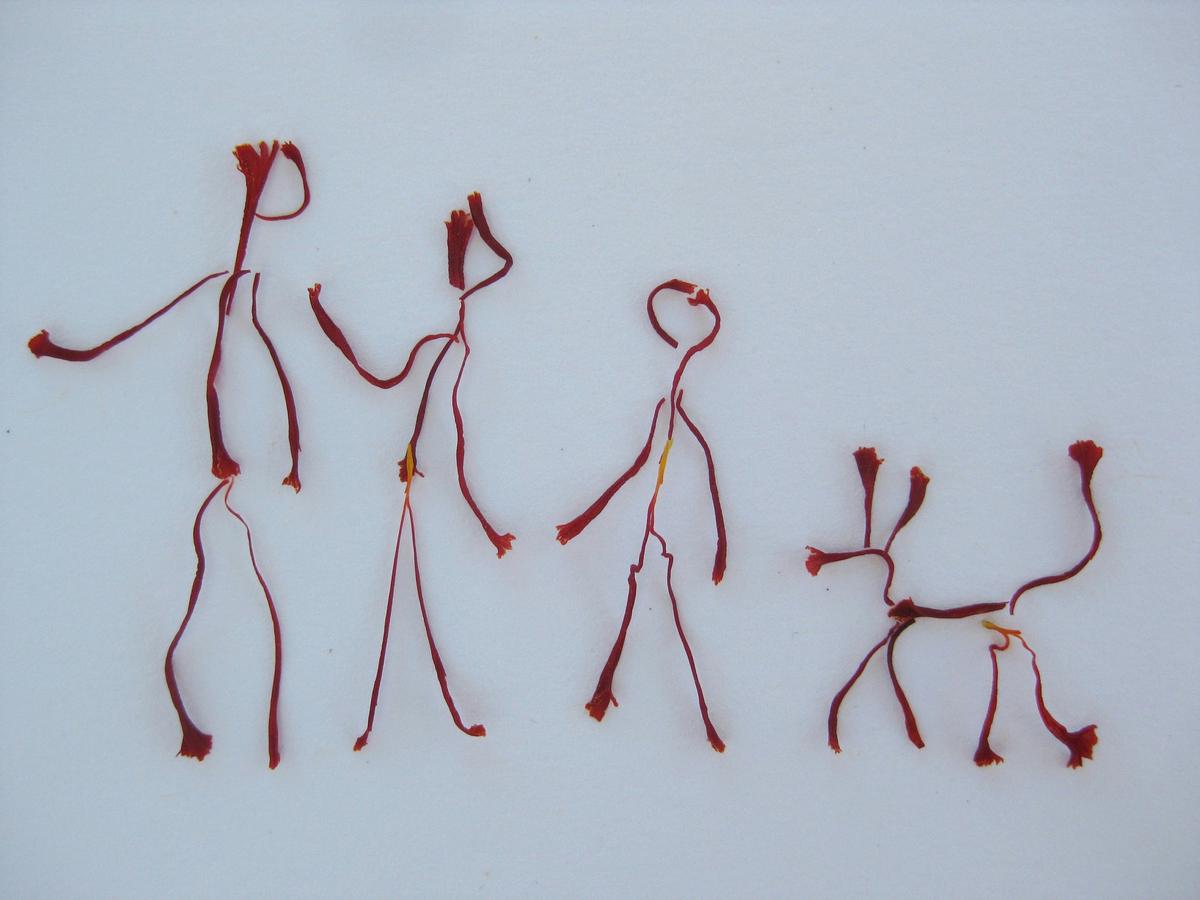 Our saffron family