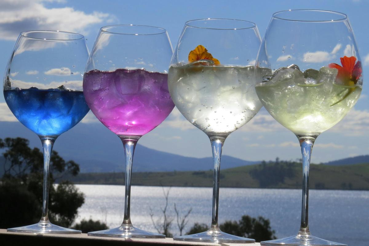 Seclusion Limited Release Gins