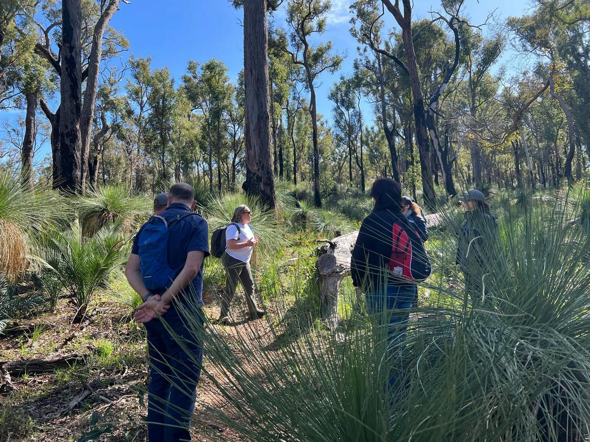 Mindful in Nature - Perth