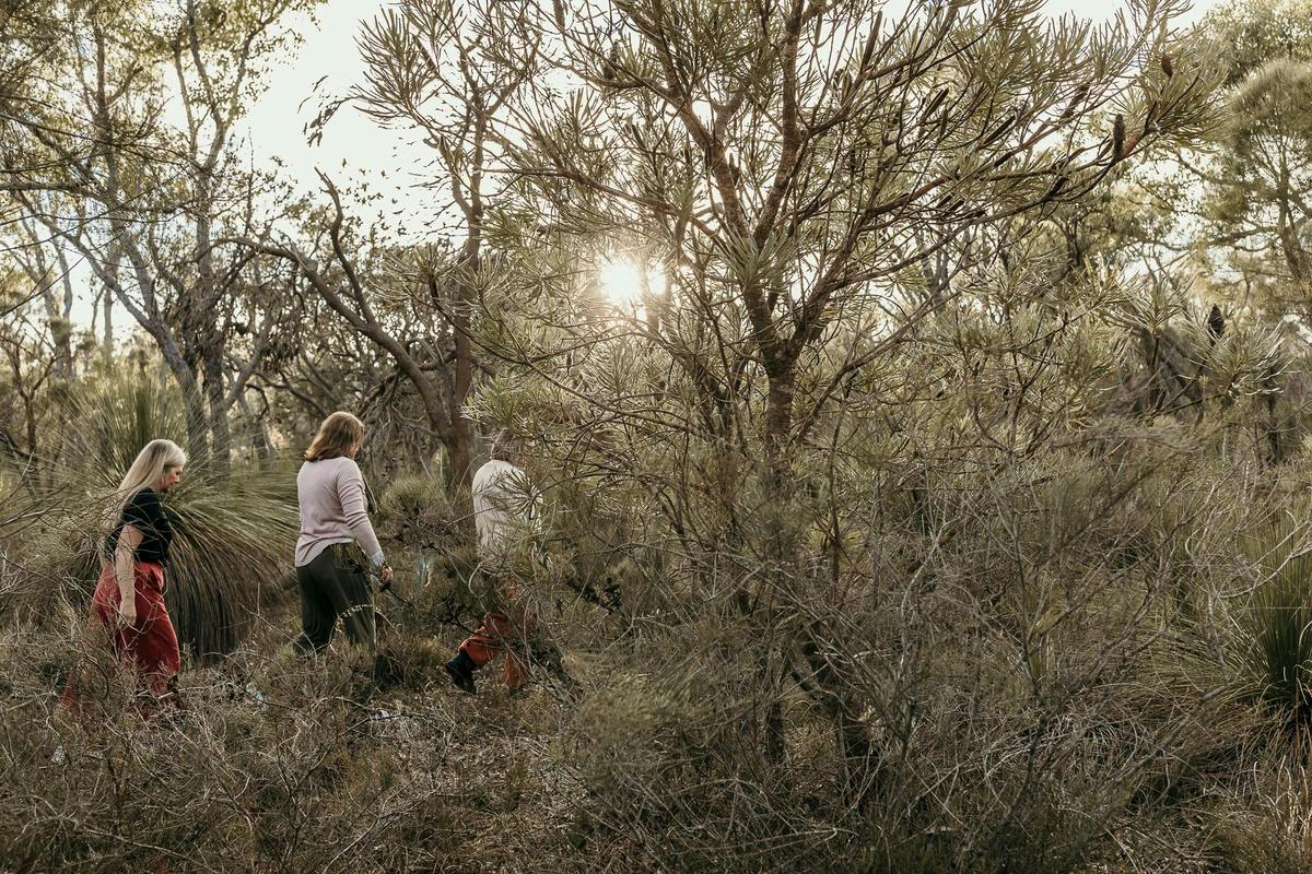Mindful in Nature - Perth