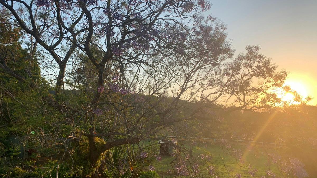 Inis Garran Farm
