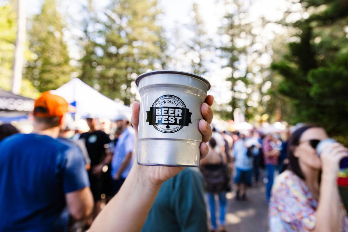 Festival cups