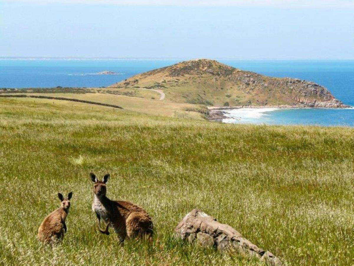 Victor Harbor