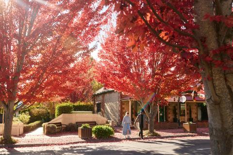 Hahndorf