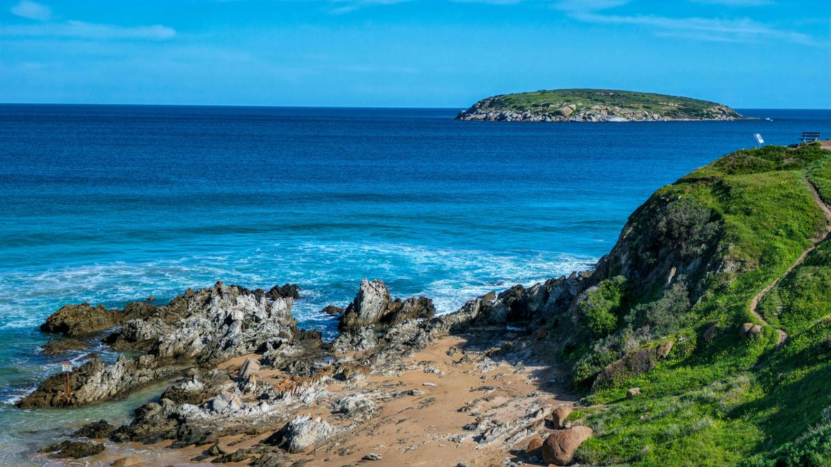 The Whale Road – Fleurieu Narrated Tour