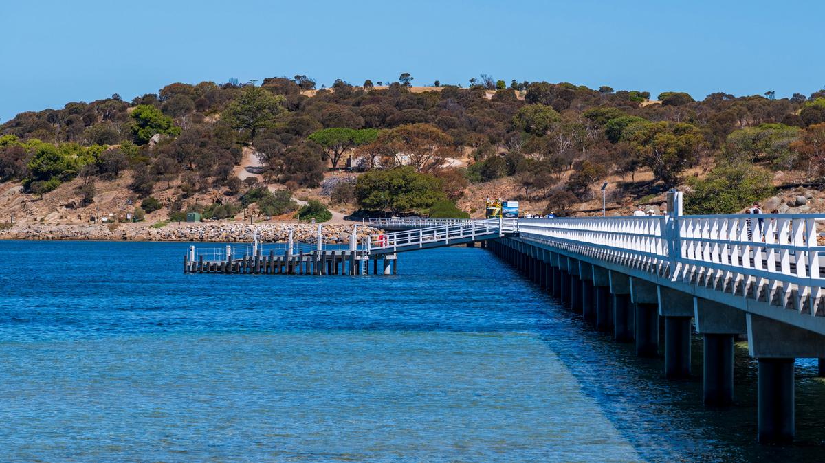 The Whale Road Fleurieu Peninsula Tour