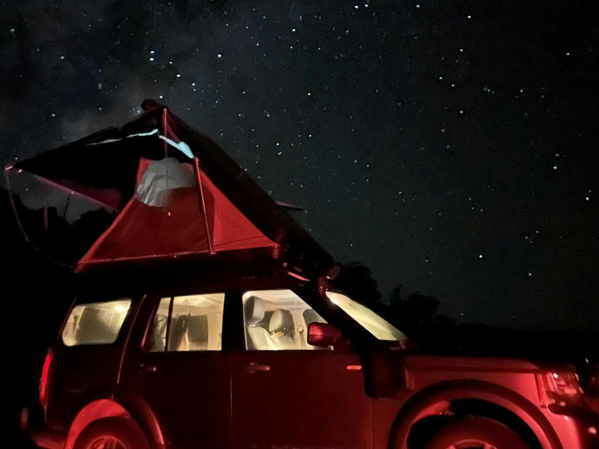 Night Sky over Taylors Arm is one to behold
