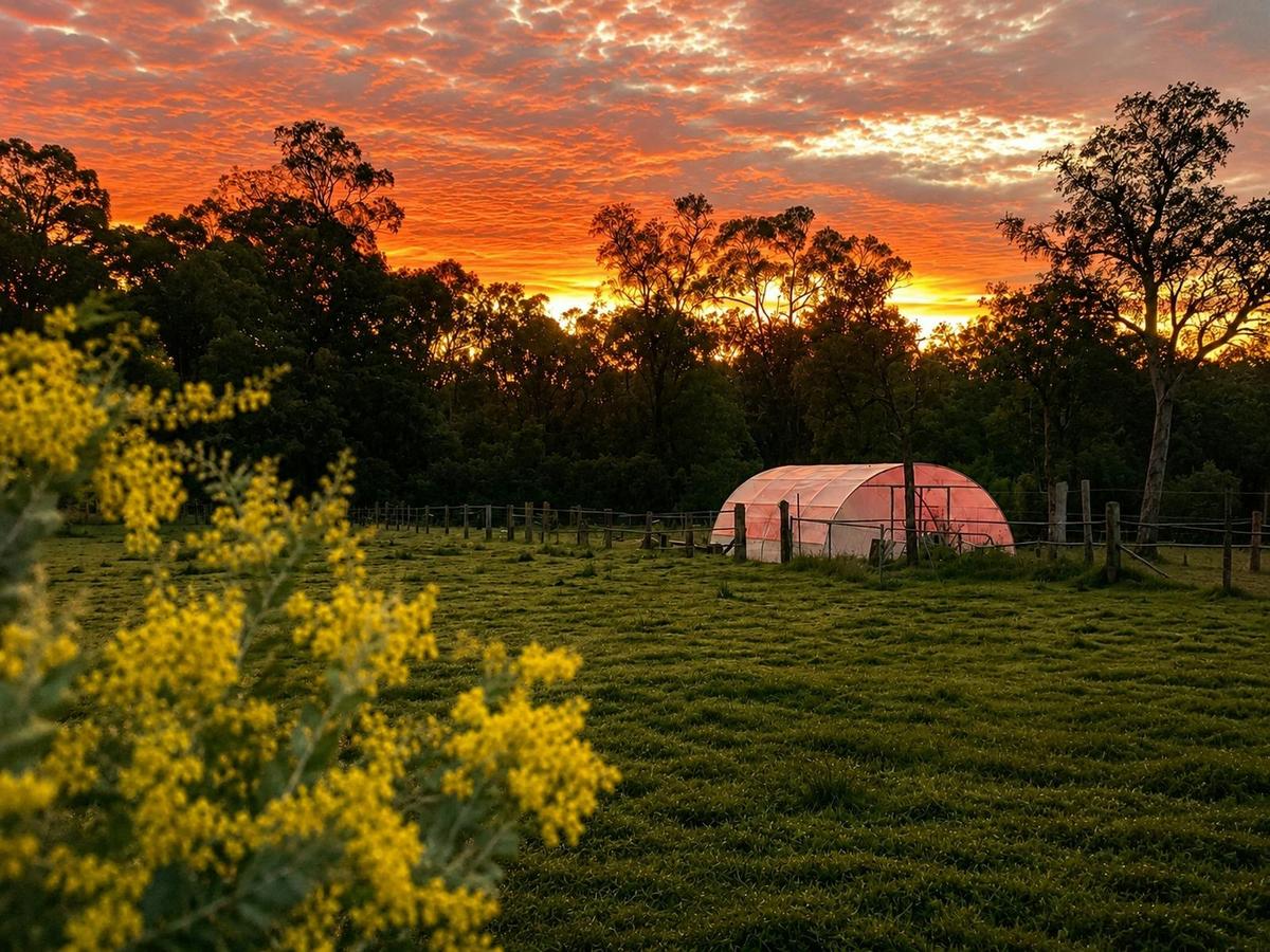 Sunset over the paddocks at Adeline Estate