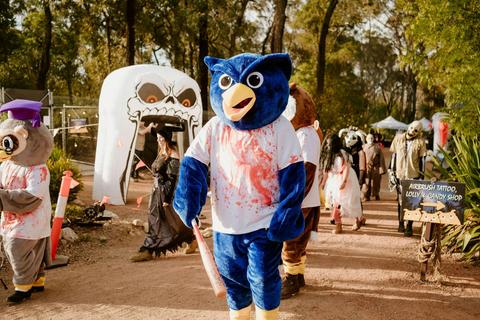 Owloween - The Haunted Sanctuary