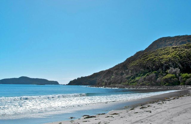 Yacaaba Headland Walking Track