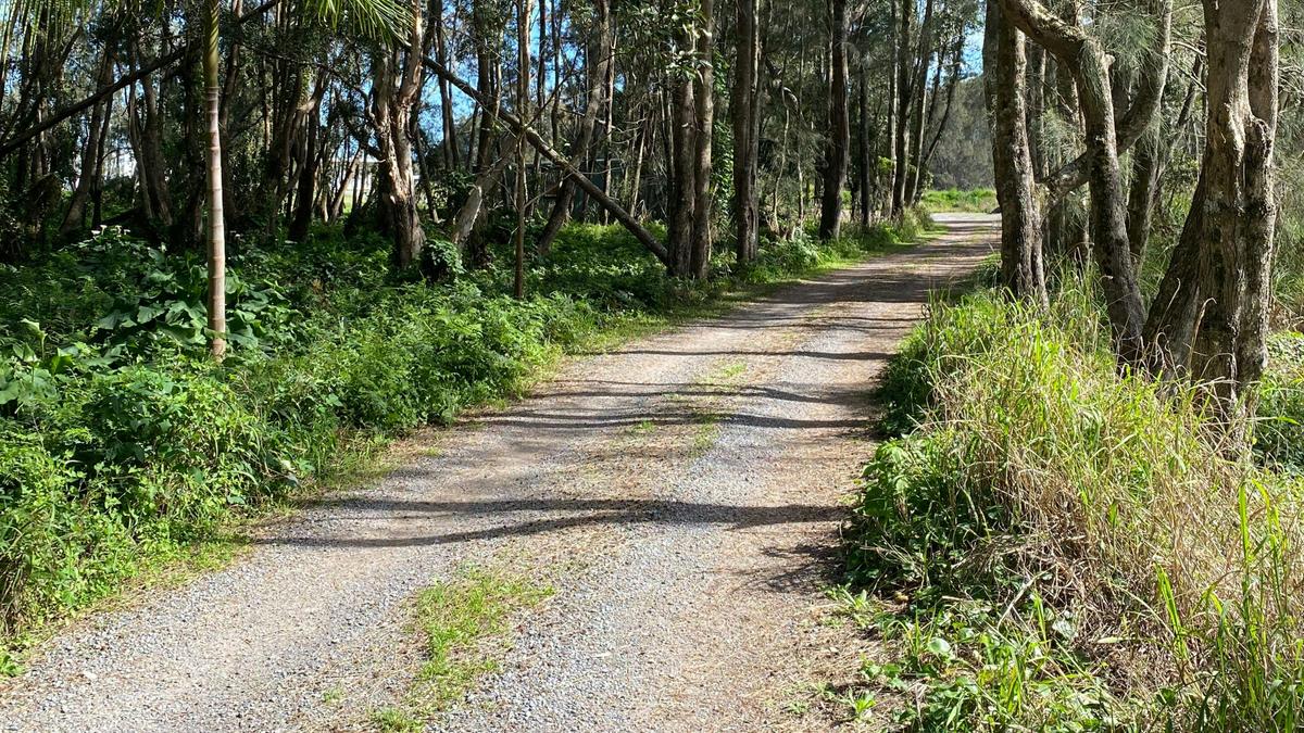 The Coastal Paddock