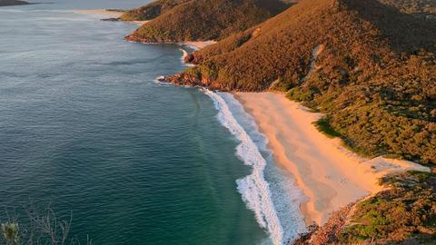 The Coastal Paddock