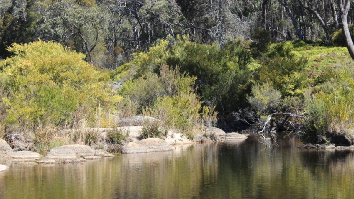 Boonoo Boonoo Island