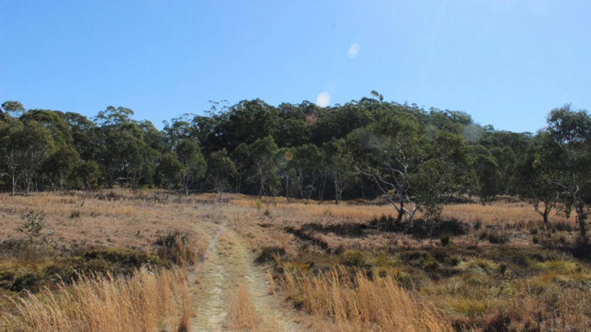 Boonoo Boonoo Island