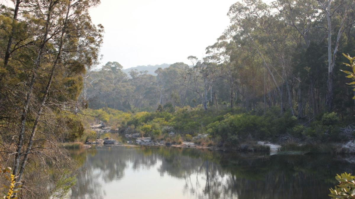Boonoo Boonoo Island