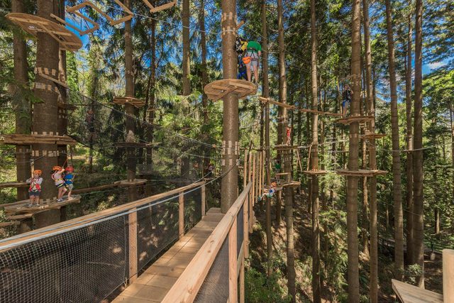 Treetops Adventure The Hills